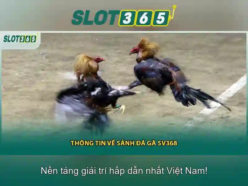 Trải Nghiệm Slot